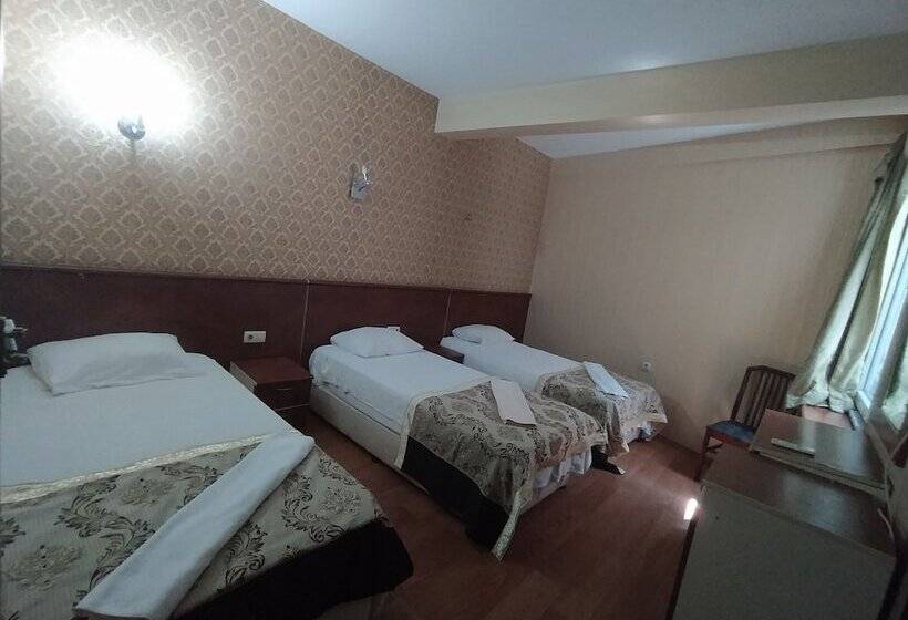 Номер Стандарт Трехместный, Turvan