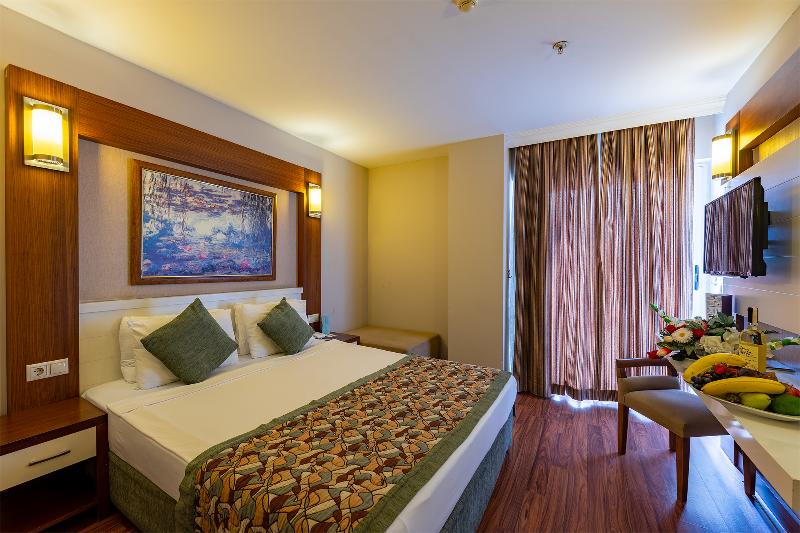 Standard Room, Viking Star