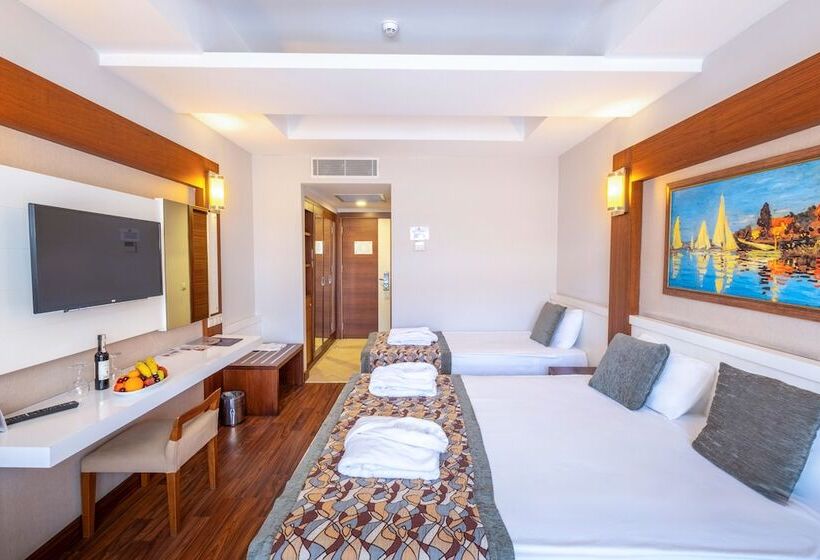 Standard Room, Viking Star