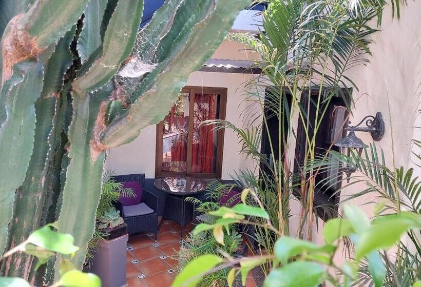 Апартаменты 1 Спальня, Apartamentos Monasterio De San Antonio   Adults Only