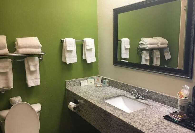 Люкс, Quality Inn & Suites Airport