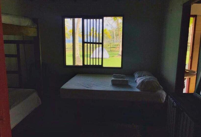 클래식 4인 룸, El Hongo Finca Hostal / Camping