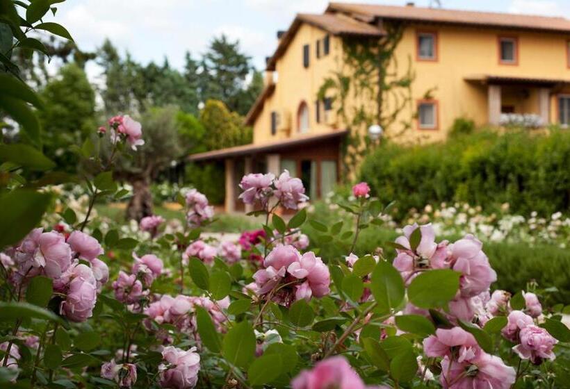 Номер Стандарт, Resort E Spa San Crispino