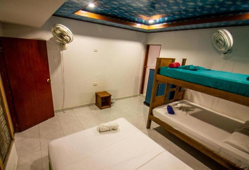 Economy Quadruple Room, Isla Los Erizos Ecohouse