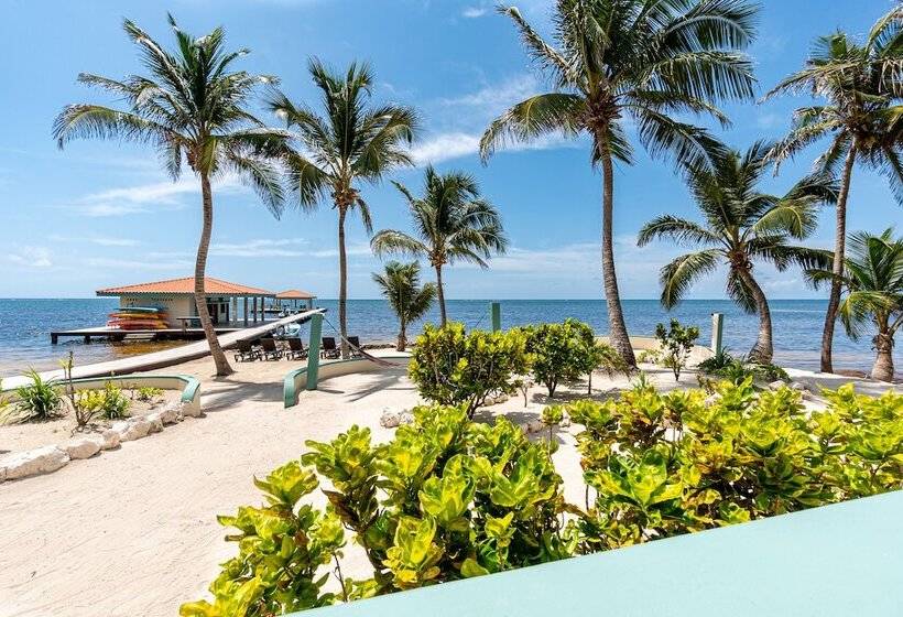 سوییت با چشم‌انداز دریا, Belizean Shores Resort
