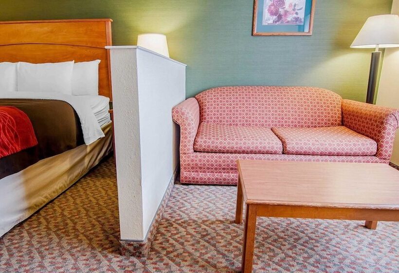 스위트, Comfort Inn & Suites Salem