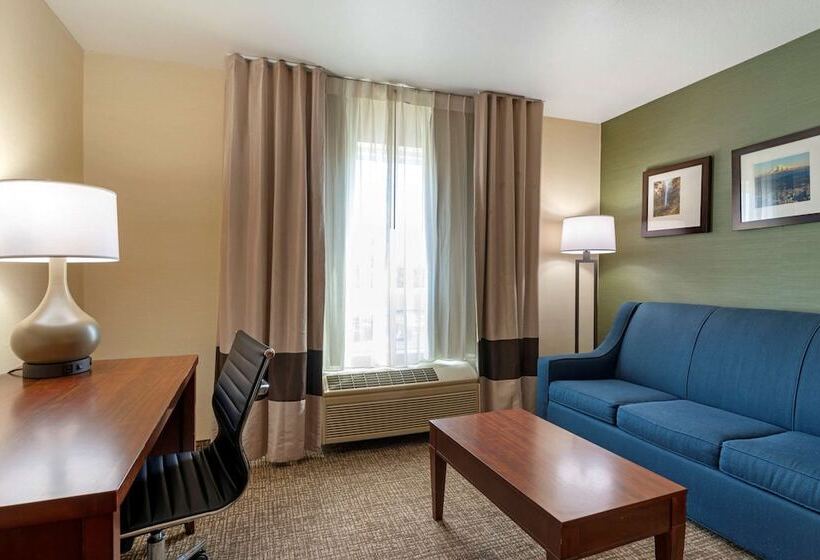 스위트, Comfort Inn & Suites Salem
