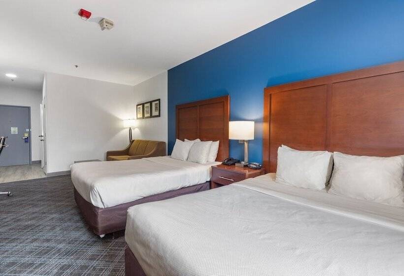 套房, Comfort Suites Lombard   Addison