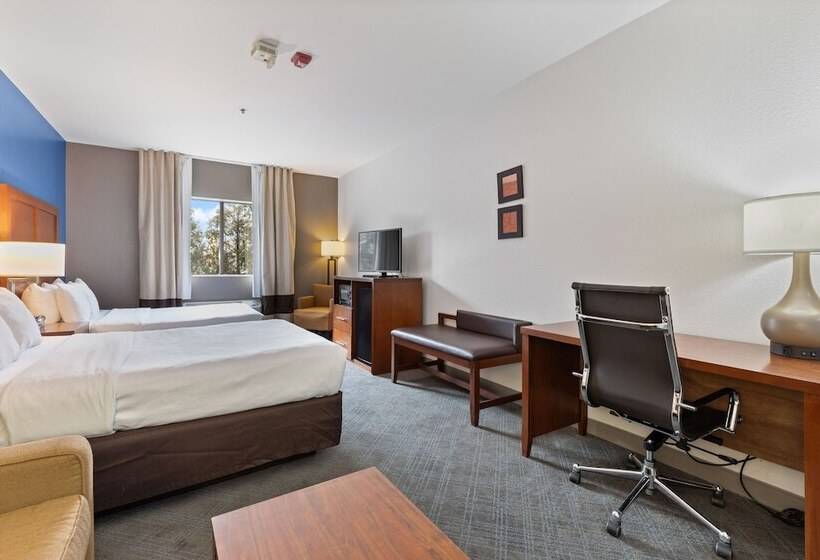 适合残疾人士使用的套间, Comfort Suites Lombard   Addison