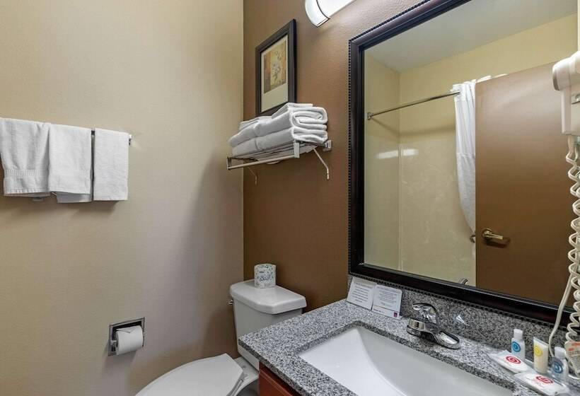 Люкс Адаптированный для Инвалидов, Comfort Suites The Colony  Plano West
