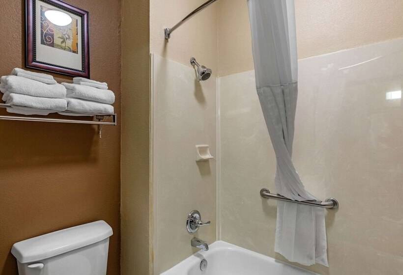 Люкс Адаптированный для Инвалидов, Comfort Suites The Colony  Plano West
