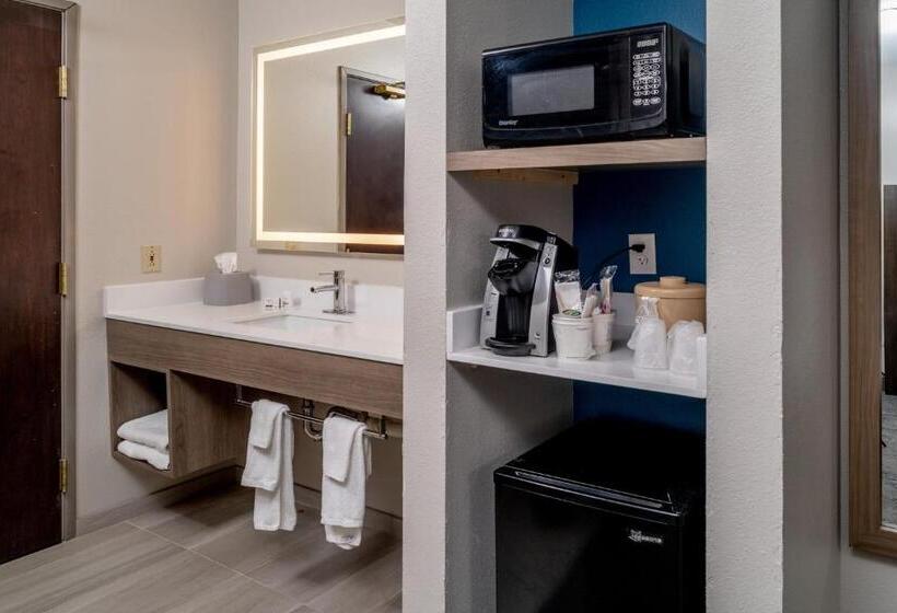 스탠다드 룸 킹사이즈 침대, Holiday Inn Express   Charleston/kanawha City, An Ihg