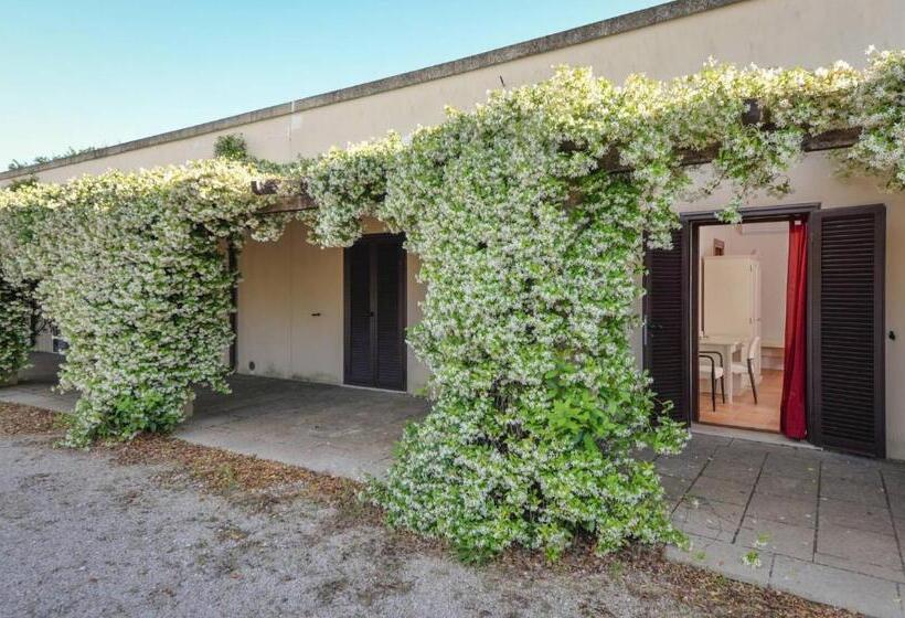 Номер Стандарт, Masseria Li Campi