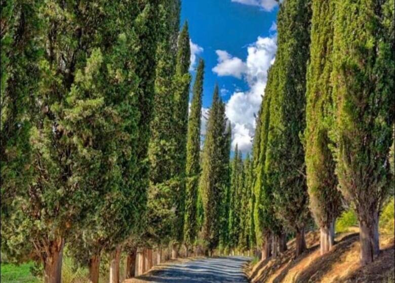 Апартаменты 2 Спальни, Agriturismo Fattoria Il Piano   Casa Bugno   San Gimignano