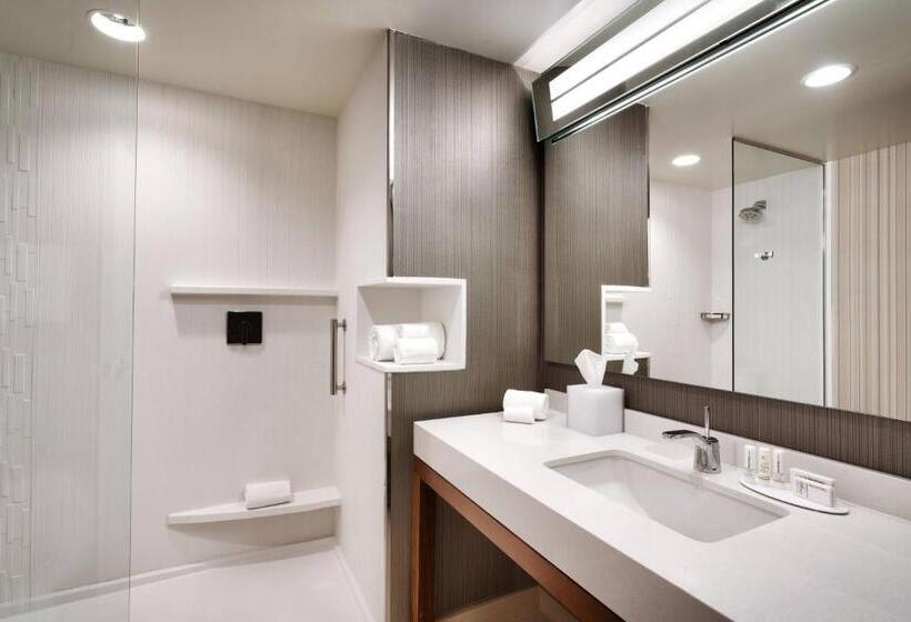 Стандартный Номер Кровать Кинг, Courtyard By Marriott Atlanta Duluth Downtown