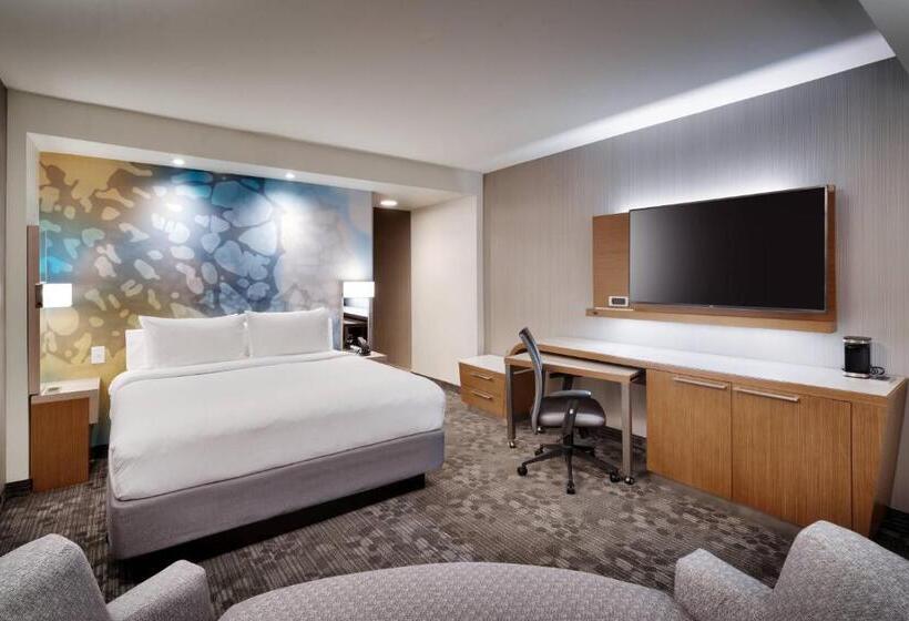 스탠다드 룸 킹사이즈 침대, Courtyard By Marriott Atlanta Duluth Downtown