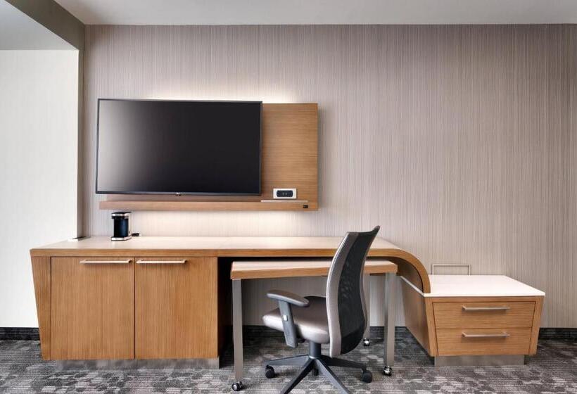 Номер Стандарт Кровать Кинг Адаптированный для Инвалидов, Courtyard By Marriott Atlanta Duluth Downtown