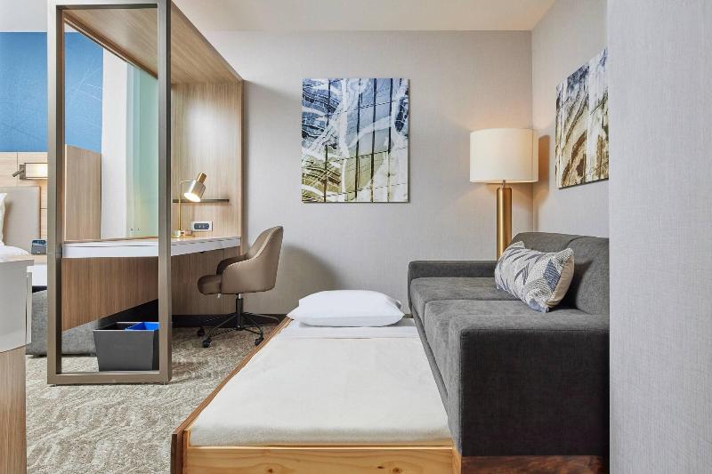 Mozgáskorlátozott Suite, Springhill Suites By Marriott Chicago Chinatown