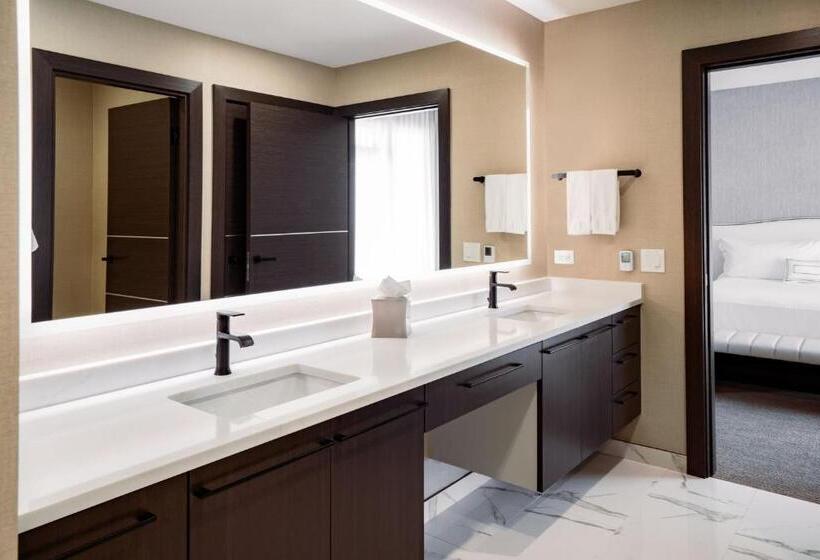 Пентхаус Люкс, Springhill Suites By Marriott Chicago Chinatown