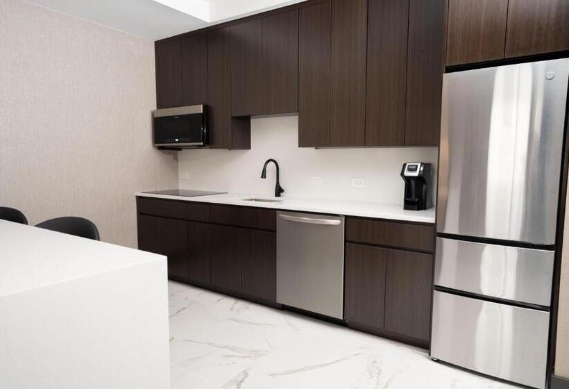 Пентхаус Люкс, Springhill Suites By Marriott Chicago Chinatown
