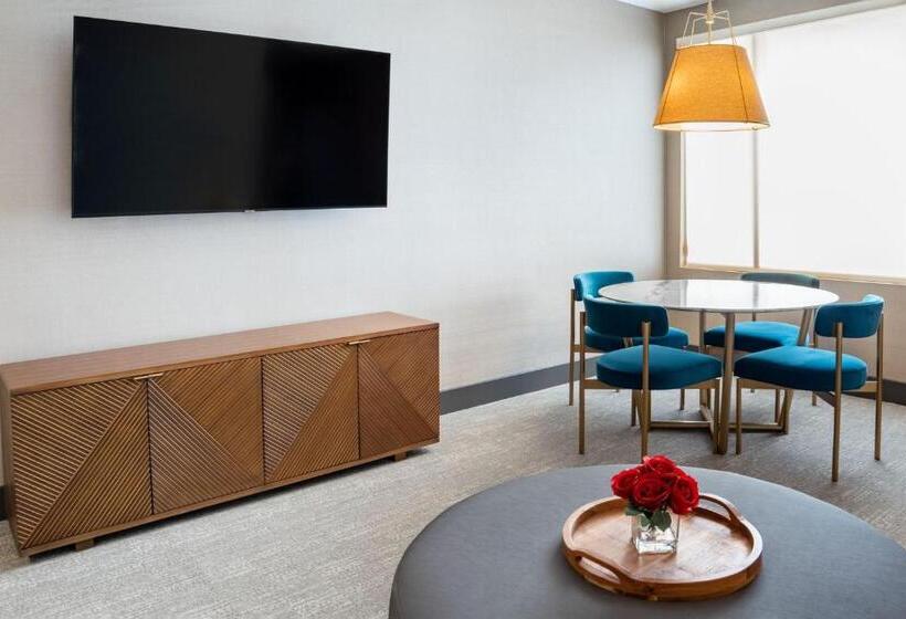 Tetőtéri Lakosztály, Springhill Suites By Marriott Chicago Chinatown