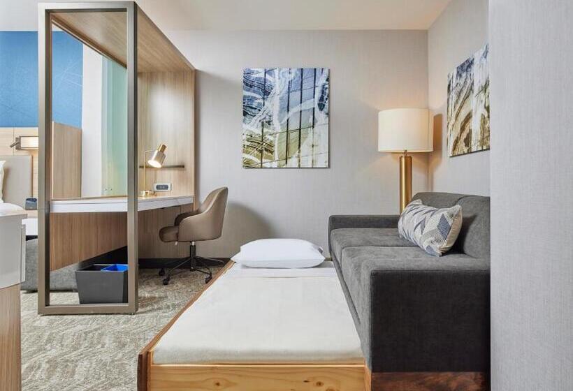 Mozgáskorlátozott Suite, Springhill Suites By Marriott Chicago Chinatown