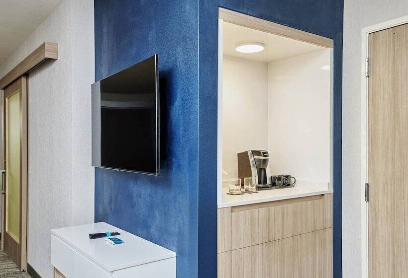 Lakosztály, Springhill Suites By Marriott Chicago Chinatown