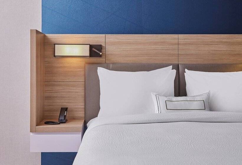 Люкс Адаптированный для Инвалидов, Springhill Suites By Marriott Chicago Chinatown