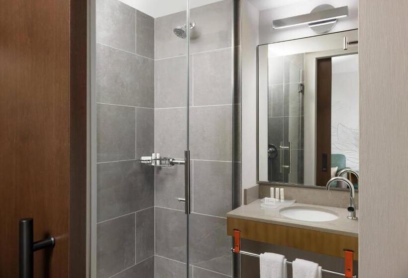 Estúdio standard Cama King, Springhill Suites By Marriott New York Manhattan Chelsea