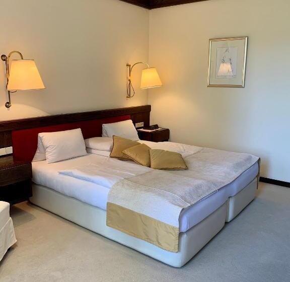 Апартаменты 1 Спальня, Dietrichsteinerhof Apartments & Rooms