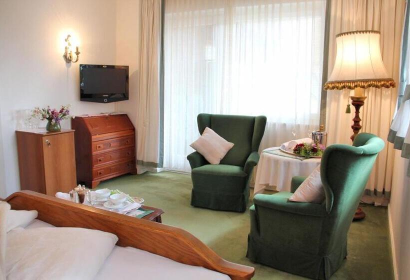 Номер Стандарт с Балконом, Dietrichsteinerhof Apartments & Rooms