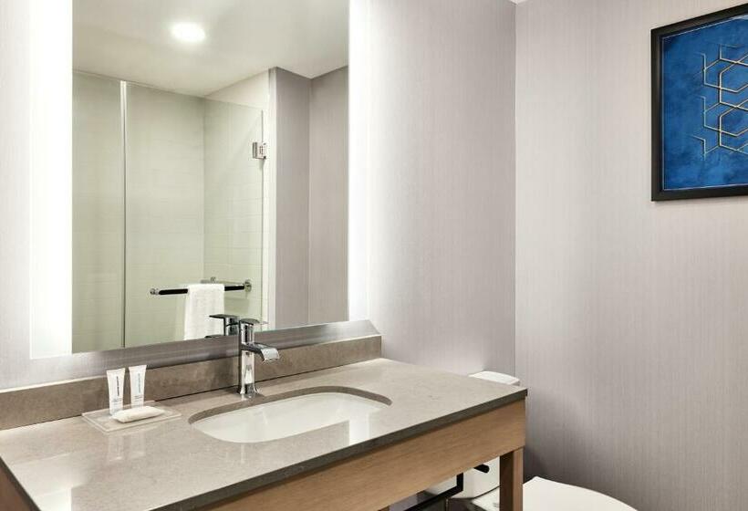 스탠다드 룸 킹사이즈 침대, Hyatt Place Phoenix/downtown