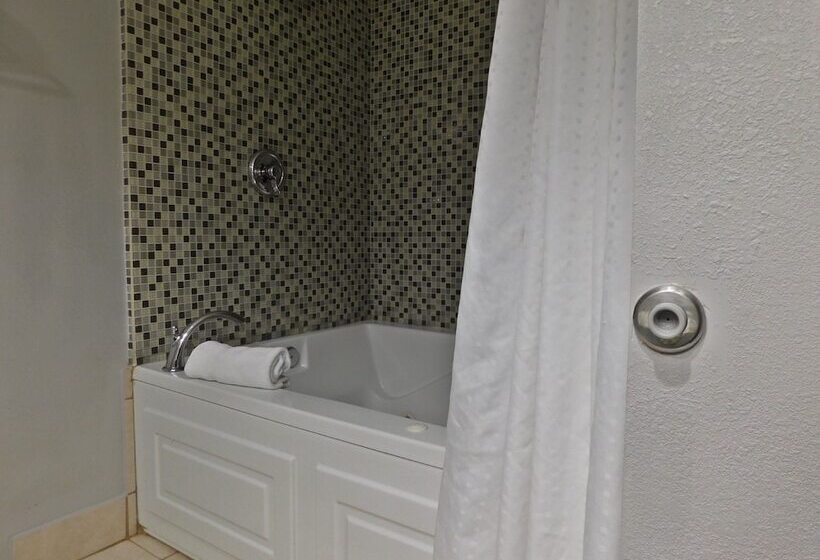 Номер Стандарт, Holiday Inn Express Cleveland Downtown, An Ihg