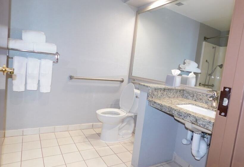 Люкс, Holiday Inn Express Cleveland Downtown, An Ihg