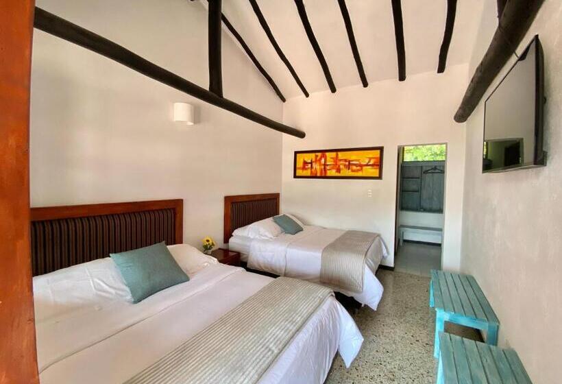 Family Room, Evoque Sáchica