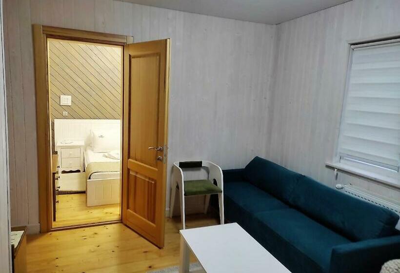 Номер Стандарт, Kolochava Eco Resort