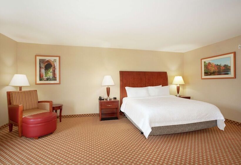 Номер Стандарт Адаптированный для Инвалидов, Hilton Garden Inn Casper