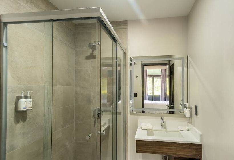 シティビューのダブルベッドスタンダードルーム, Holiday Inn Express Morelia Centro Historico