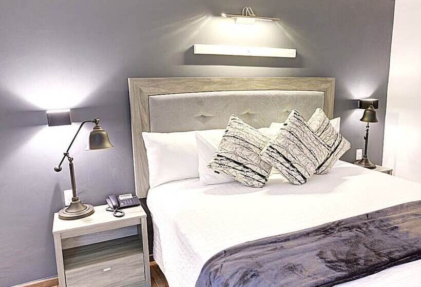 Chambre Deluxe, Clarum 101