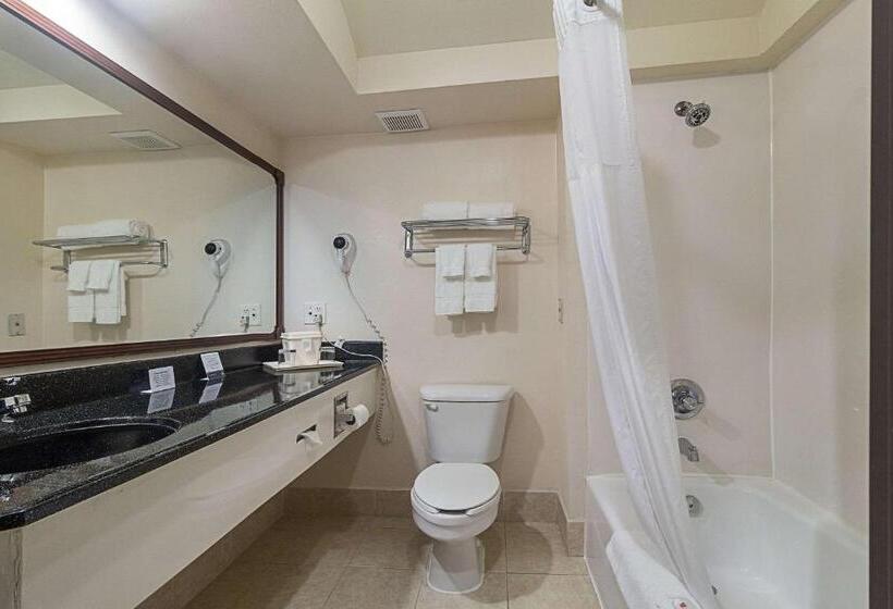 Cameră Standard Pat King Size, Quality Inn & Suites West Chase