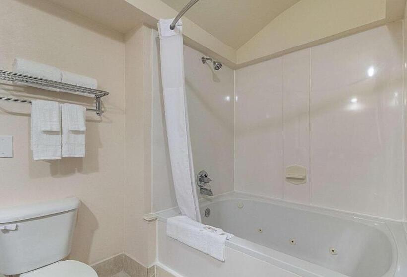 Cameră Standard, Quality Inn & Suites West Chase