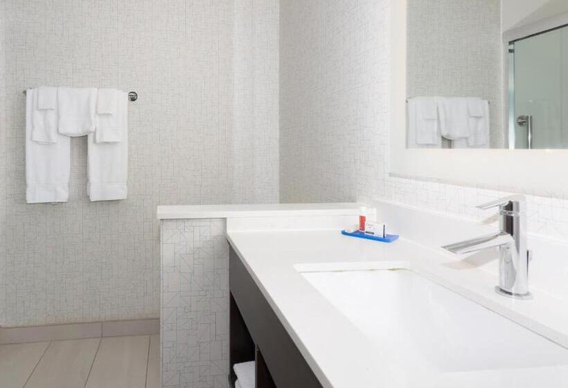 Люкс Адаптированный для Инвалидов, Holiday Inn Express & Suites   Firestone   Longmont , An Ihg