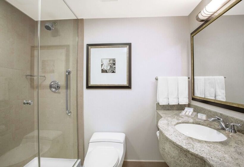اتاق استاندارد با 2 تخت دوبل, Hilton Garden Inn New York/west 35th Street