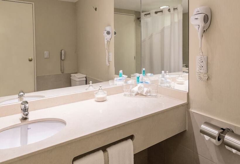 Люкс, Holiday Inn Express Rosario, An Ihg