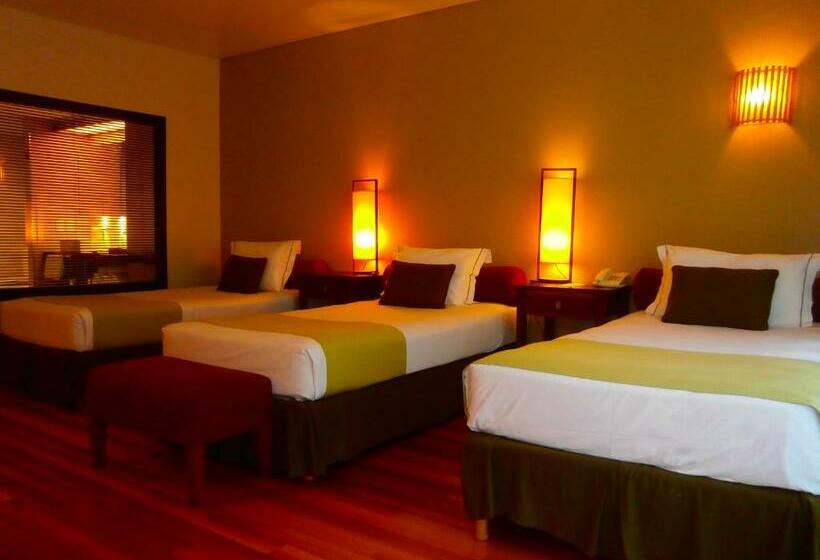 Студия Стандарт, Loi Suites Iguazu