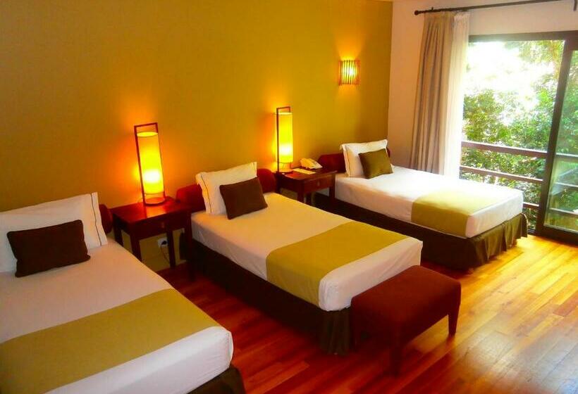 스탠다드 스튜디오, Loi Suites Iguazu