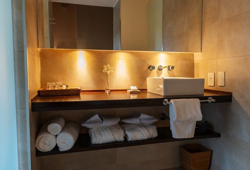 Люкс, Loi Suites Iguazu