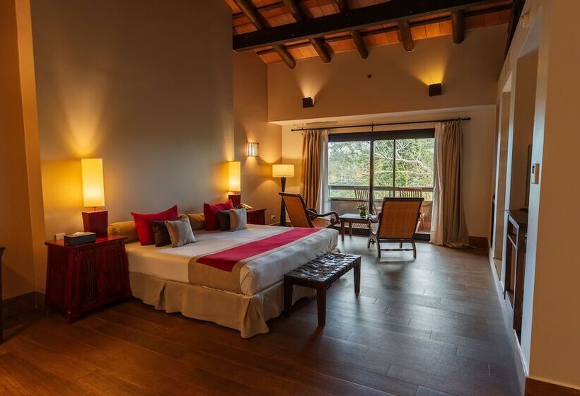 Люкс, Loi Suites Iguazu