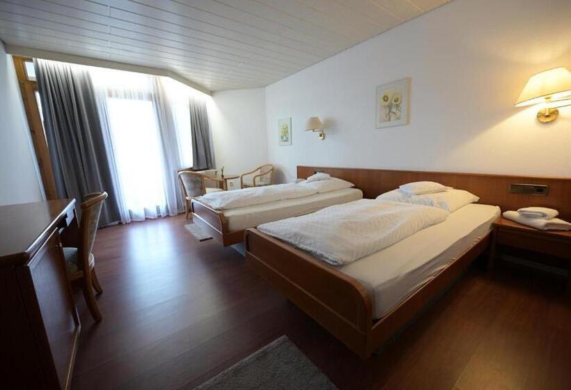 Номер Стандарт, Landhotel Hirsch