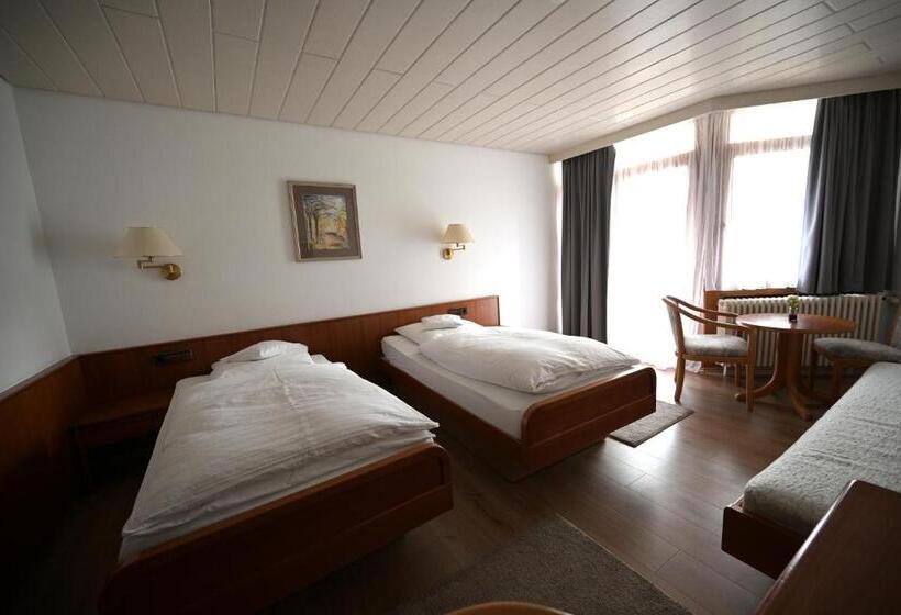 Номер Стандарт с Балконом, Landhotel Hirsch